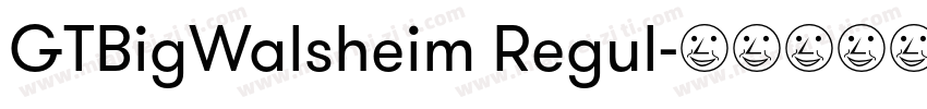 GTBigWalsheim Regul字体转换